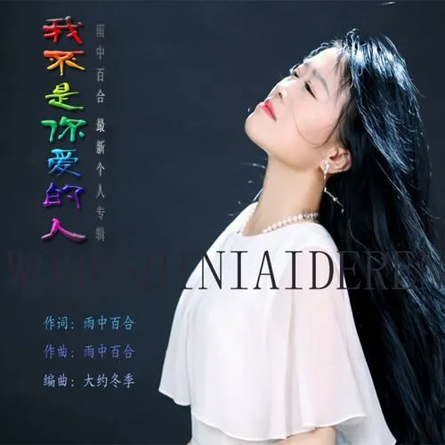 我不是你愛(ài)的人-雨中百合