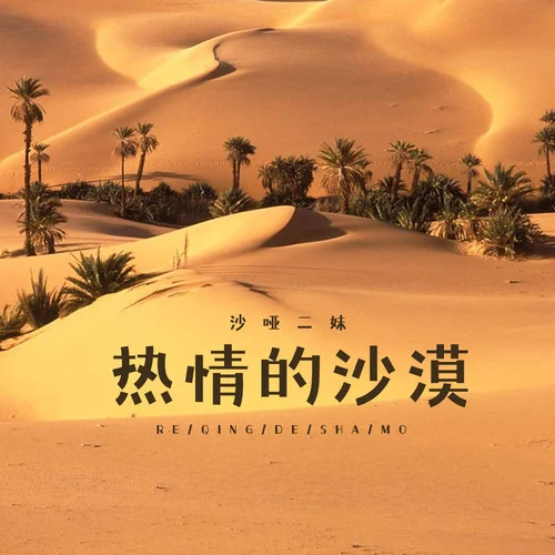 熱情的沙漠(DJ光波版)-沙啞二妹