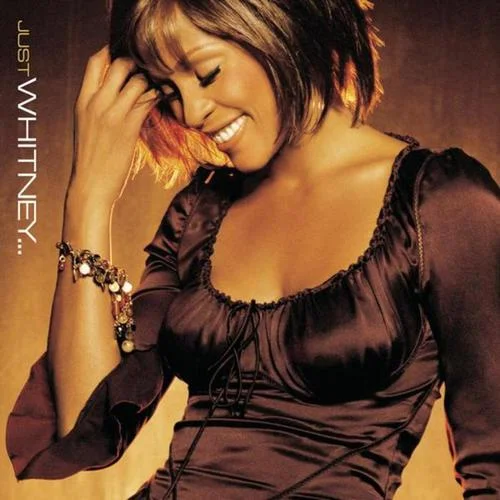 You Light Up My Life(P. Diddy Remix – Radio Edit)-Whitney Houston