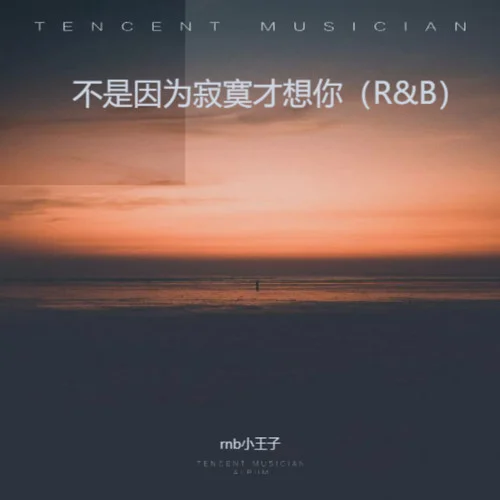 不是因為寂寞才想你 (R&B)-rnb小王子