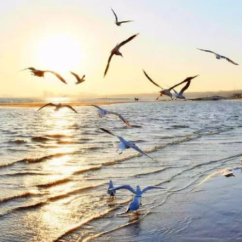 放空 - 大籽，Lil E-千與