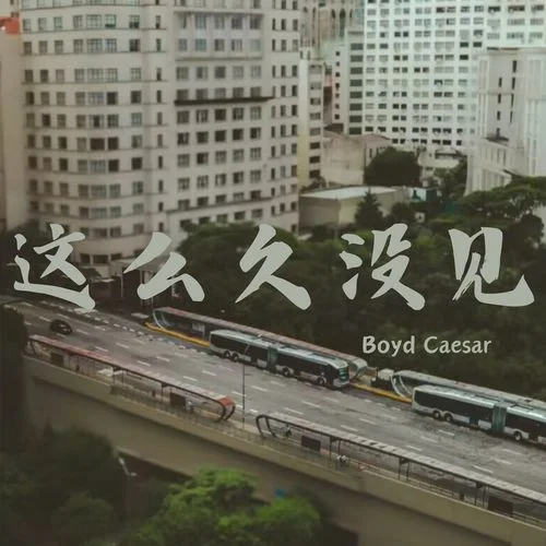 這么久沒(méi)見(jiàn)(0.98X)-Boyd Caesar