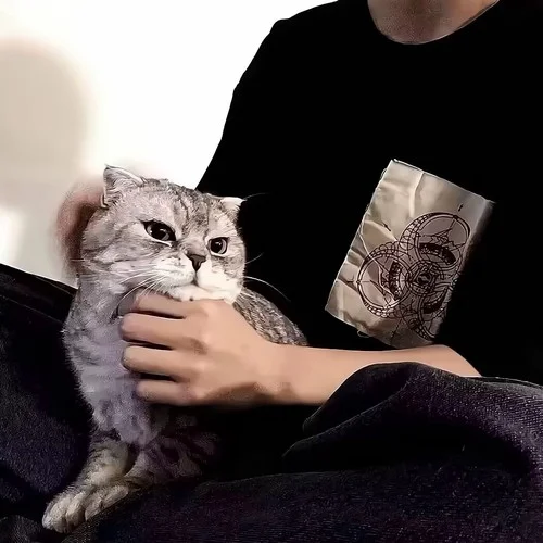 最初的记忆(DJ版)-Dj狗峰Remix