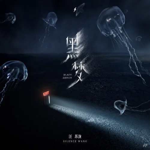 黑梦-汪苏泷