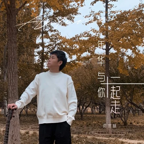 年華與你一起走 （DJ京仔版）(Remix)-雨宗林