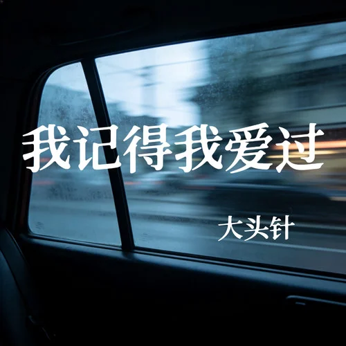 我记得我爱过（像中枪一样） (国语版)-大头针 Official