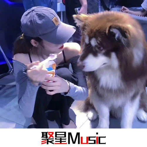 難得真兄弟(抖音DJ版)-蔣穩(wěn)妥