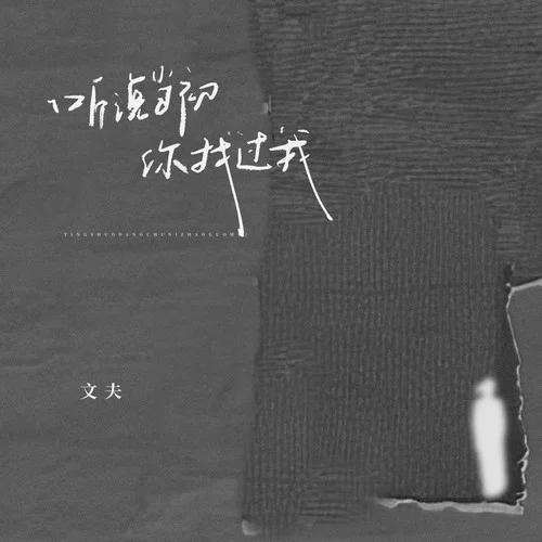 听说当初你找过我-文夫