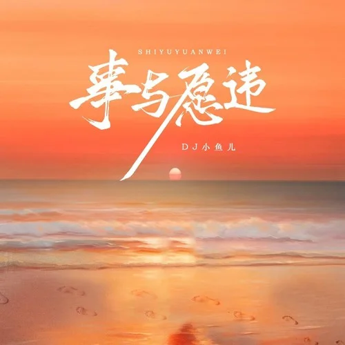 事與愿違（蹦迪版）-DJ小魚兒