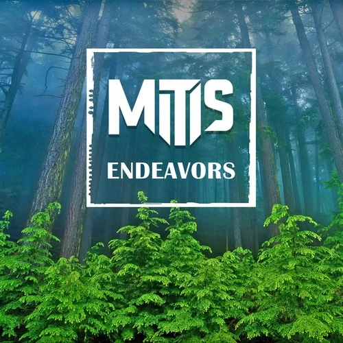 Endeavors-MitiS