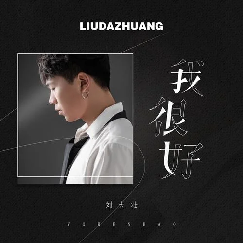 我很好（正式版）-刘大壮
