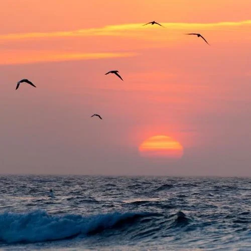 A Little Story - Valentin-紫英