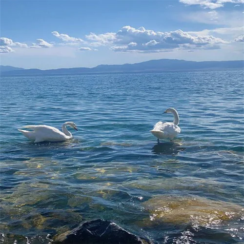 LakHouse-戀愛循環(huán)