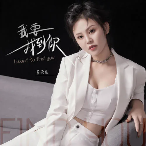 我要找到你(DJ女聲版)-藍(lán)天晨