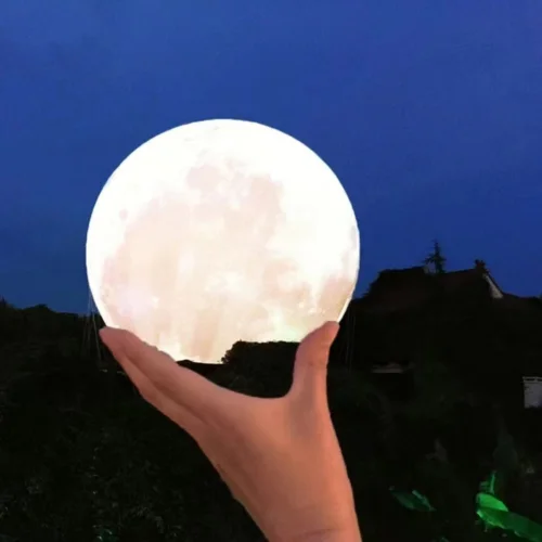 最真的夢(mèng) (cover: 孫露)-雨音