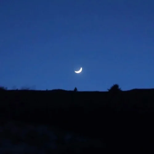 弱水三千-高占芬