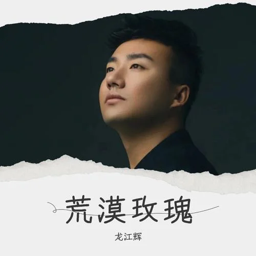 荒漠玫瑰-龙江辉