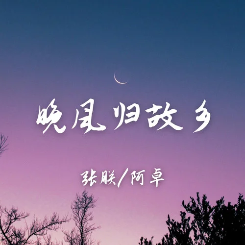 晚風(fēng)歸故鄉(xiāng)-張朕&阿卓