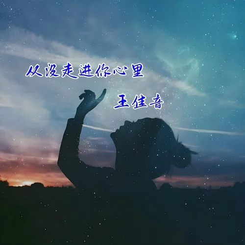 從沒走進你心里-王佳音