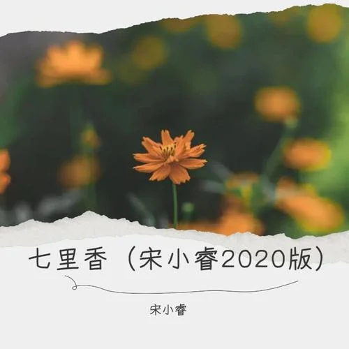 羨慕風(fēng)羨慕雨-宋小睿