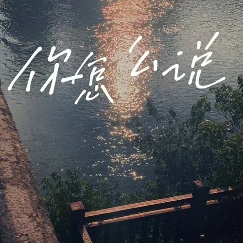 你這么說 (煙嗓版)-大頭針 Official