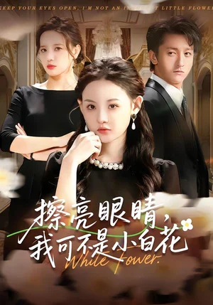 擦亮眼睛，我可不是小白花（60集）劉安歌＆李澤源 - 短劇資源下載