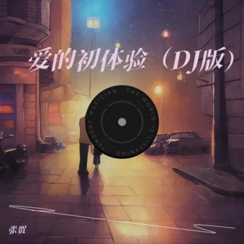 愛的初體驗(yàn) (張賀 remix)-張賀