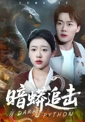 暗蟒追擊（35集）王盈心＆趙文碩