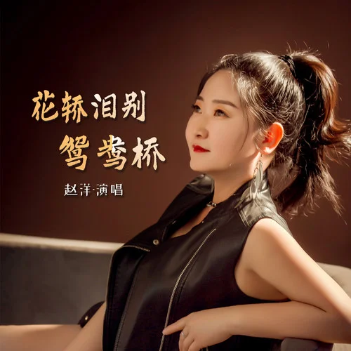 花轎淚別鴛鴦橋(DJ默涵版)-趙洋