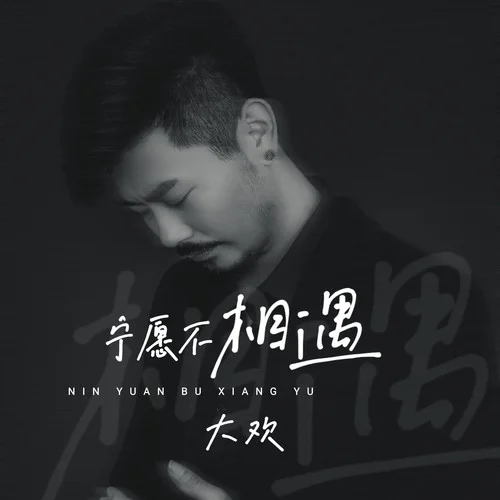 寧愿不相遇-大歡