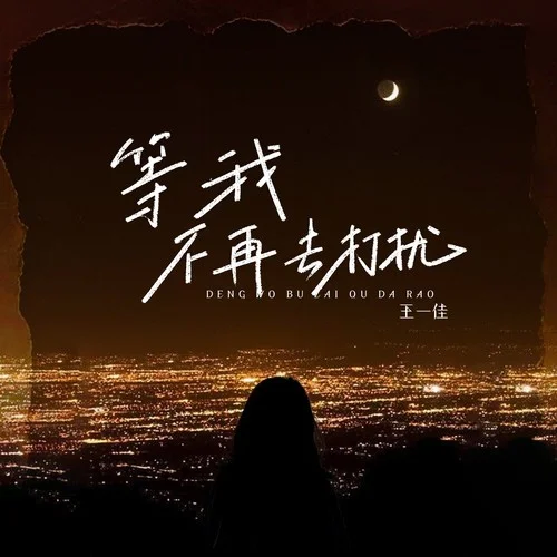 等我不再去打擾(DJ版)-王一佳