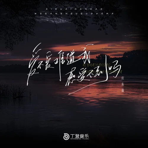 愛不愛難道我感受不到嗎（DJ版）-莊東茹&DJ豪大大&DJ喜仔