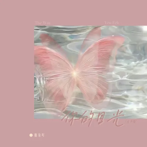 你的目光The Way You Felt(溫柔版)-藤柒吖