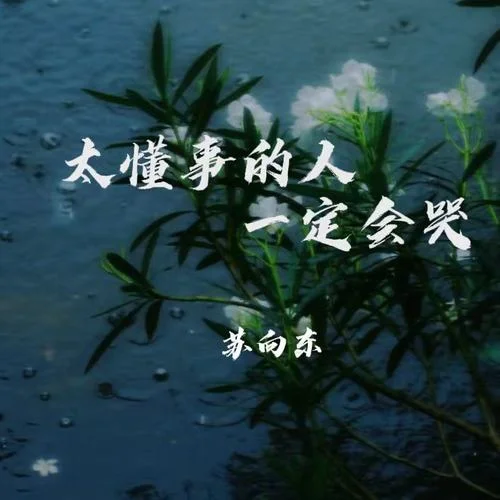 太懂事的人一定會哭-蘇向東