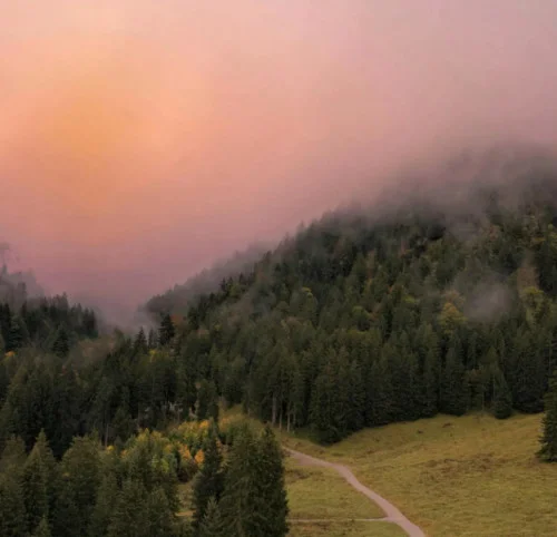 Sonic Waves (Phonk Reset)-HSHKGN