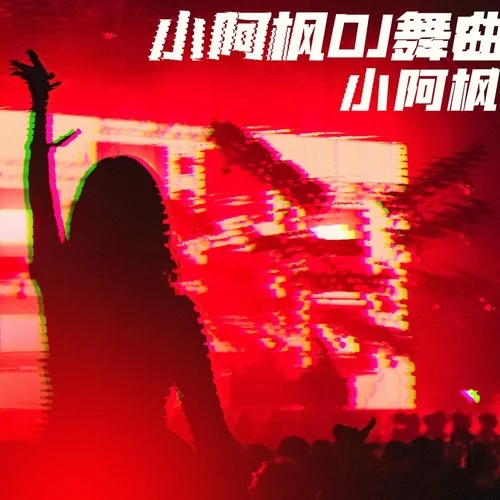 我要找到你 (DJ九零版)-小阿楓