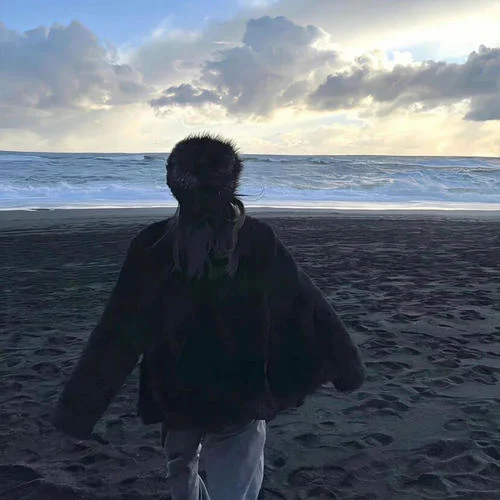 我的心太亂(DJ版)-The Outlaw