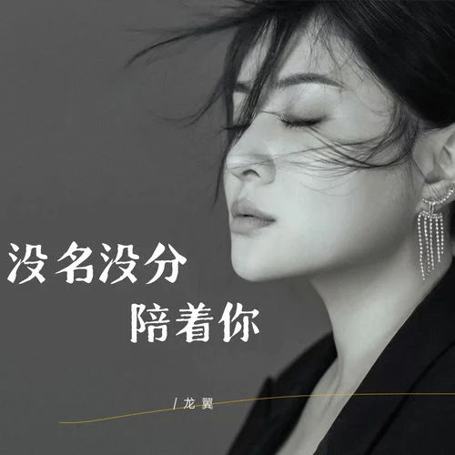 没名没分陪着你-龙翼