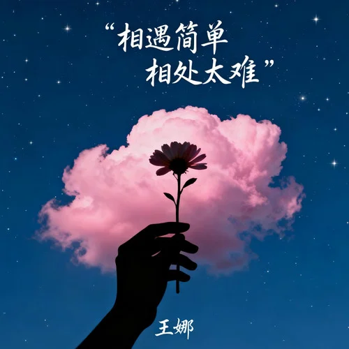 相遇简单相处太难-王娜