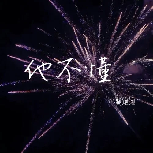 他不懂-小馨飽飽