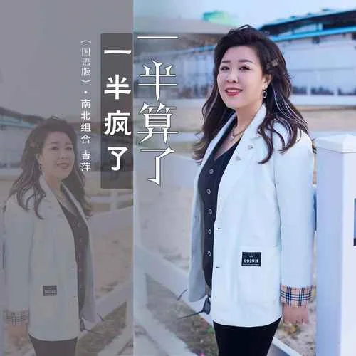 一半瘋了一半算了(DJ默涵國(guó)語(yǔ)版)-南北組合 吉萍
