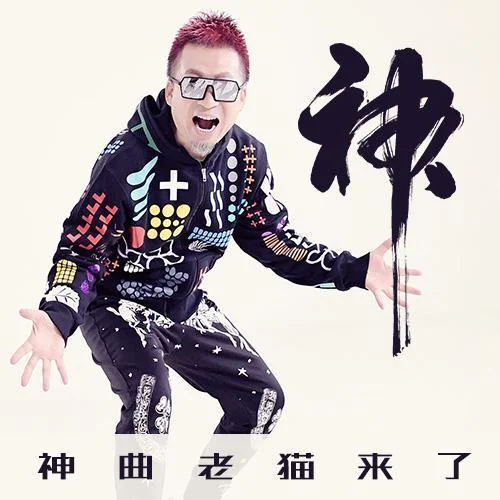 你是我的妞(現(xiàn)場DJ版)-老貓