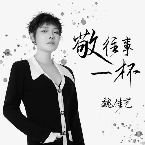 敬往事一杯(女版)-魏佳艺