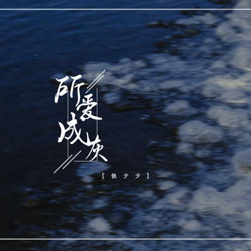 所愛(ài)成灰(DJ陽(yáng)少版)-張少少