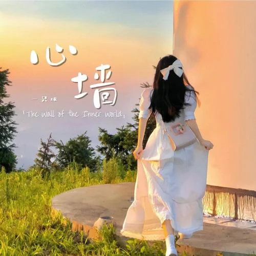 心墻(DJ世界杯版)-球球麻麻