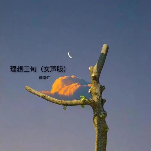 理想三旬(女声版)-藤柒吖