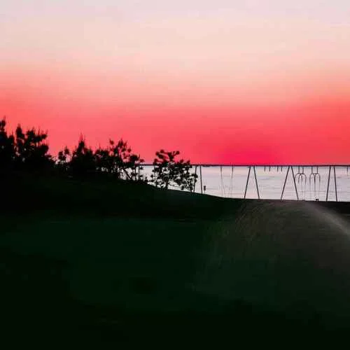 The King（植物大战僵尸）-红线redline