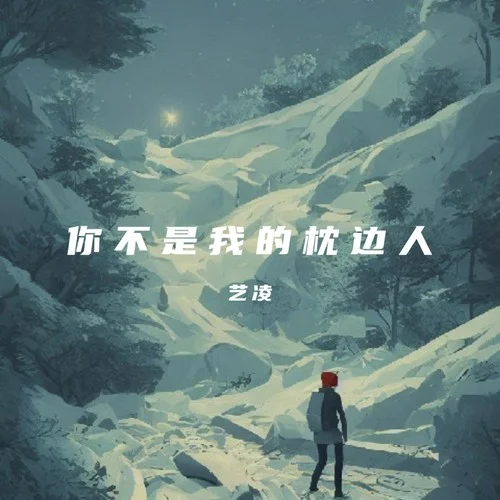 你不是我的枕邊人-藝凌
