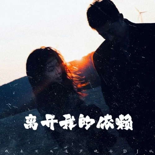 離開(kāi)我的依賴(lài) (我來(lái)不及道聲晚安DJ版)-DJ.SmartD