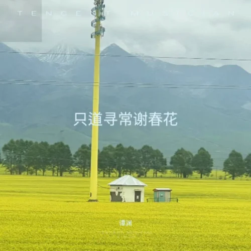 月亮照山川-譚淵